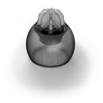 EasyGuard� suljettu sovite M